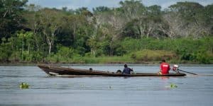 Nations Urged to Bolster Biodiversity Plans by Enshrining Rights of Nature