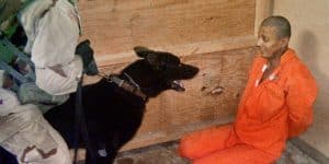 ​'Big Day... for Justice': US Jury Finds Contractor CACI Liable for Abu Ghraib Torture ​