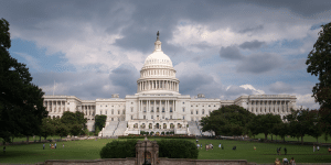 'Good News': As Trump Threat Looms, Senate Confirms Ethics Czar