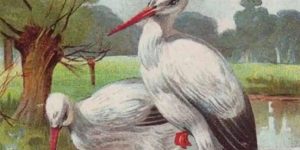 A child is hidden in this image