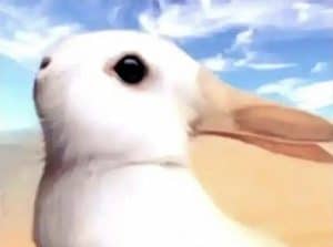 Are you an optimist or a pessimist ?