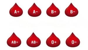 Blood Type Personality Test