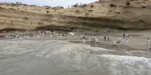 'Chaos': Peru Declares Environmental Emergency Over Oil Spill