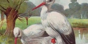 Impossible visual puzzle spot the hidden child