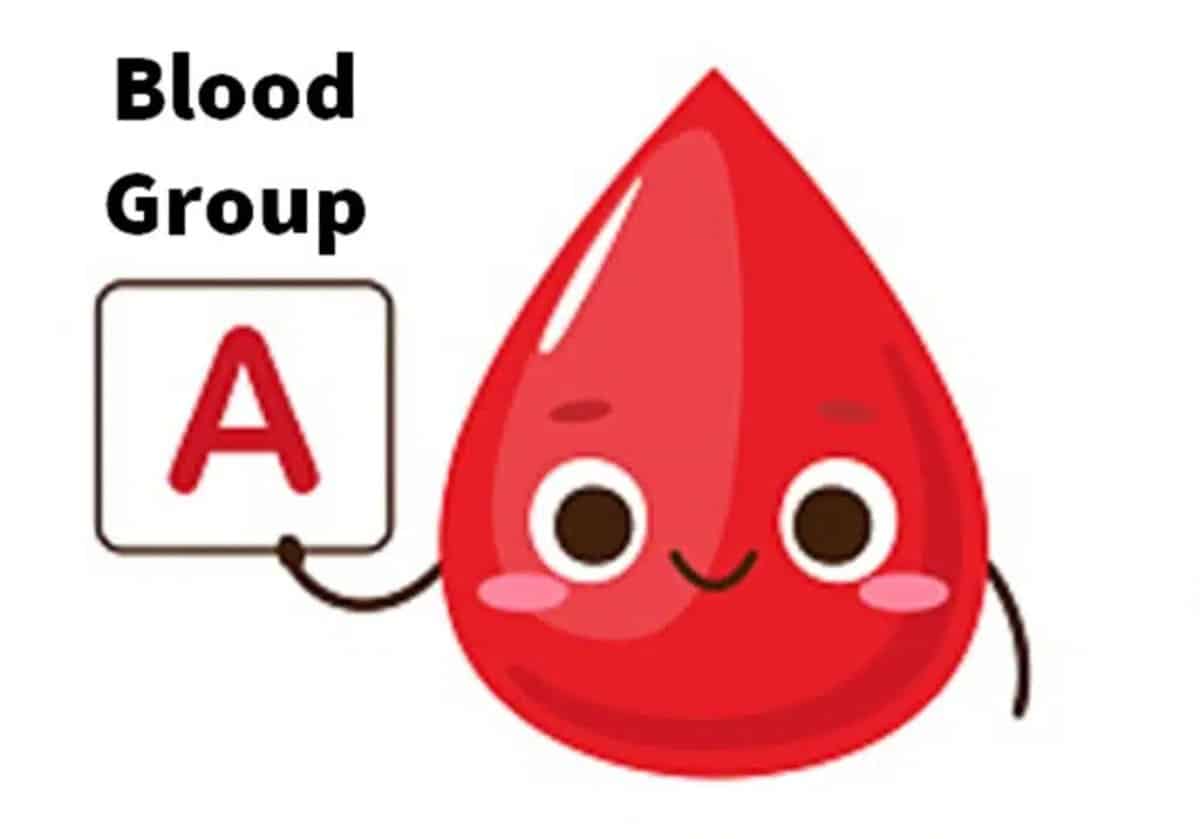 Personality test based on blood type group A