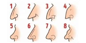 The shape of your nose