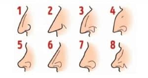 What is the shape of your nose ?
