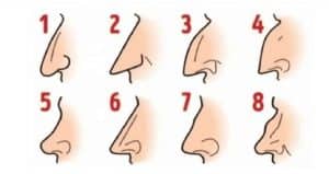 What is the shape of your nose ?