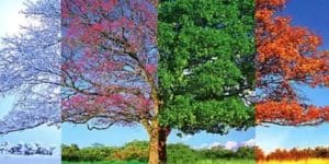 What’s your favorite season ?