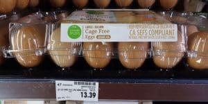 'Unthinkable': Trump FTC Chair Shuts Down Public Comments on Corporate Pricing Tactics