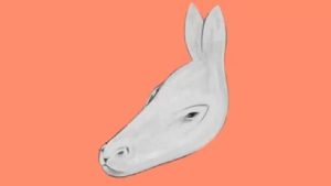 Introvert or Extrovert ?