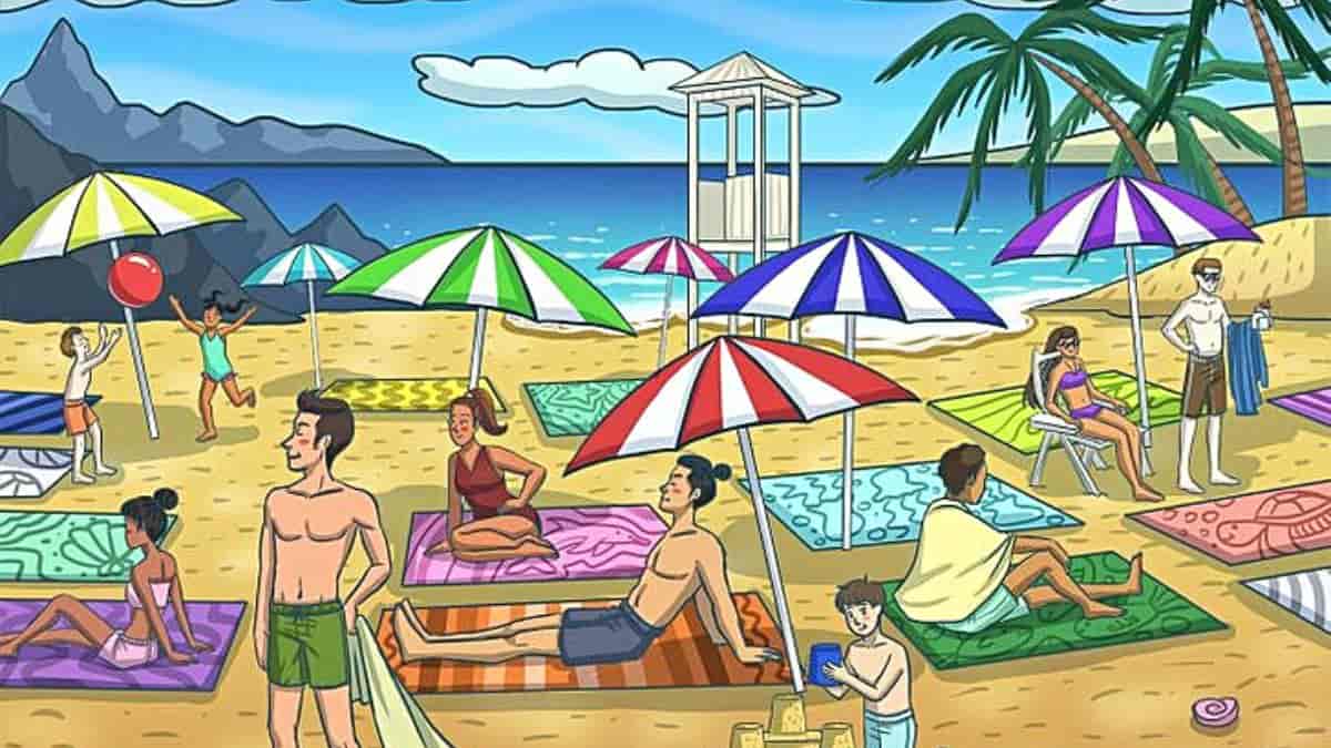 Can you spot the dolphin on the beach in 5 seconds?