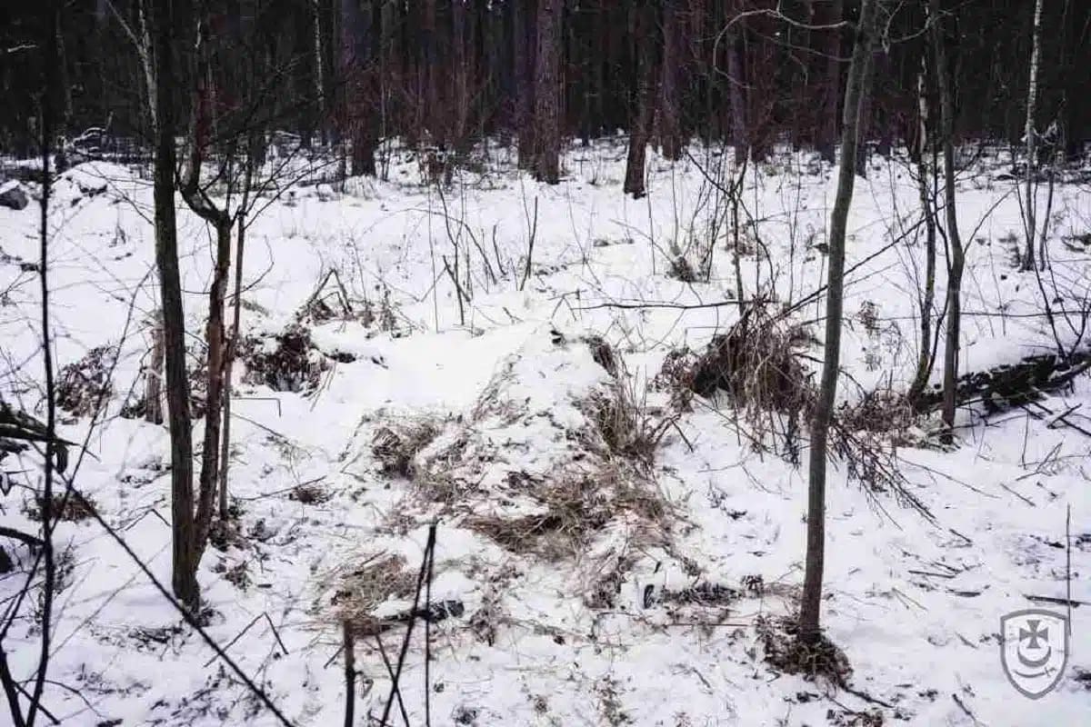 can you spot the hidden sniper in this tricky image?