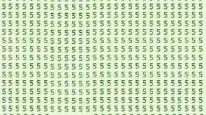 Can you spot the backward 5?