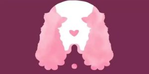 Which animal do you see first?