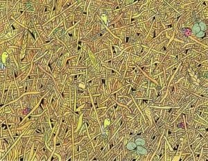 spot the needle in 9 seconds