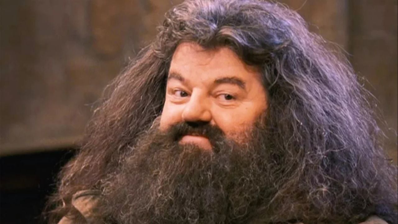 Harry Potter : l’interprète d’Hagrid dans la nouvelle série promet qu’il ne va pas copier les films