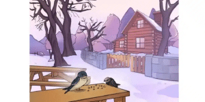 see the mistake in this image