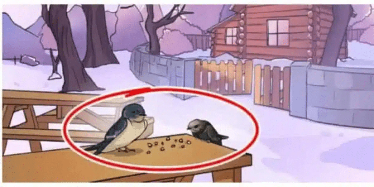 solution see the mistake in this image