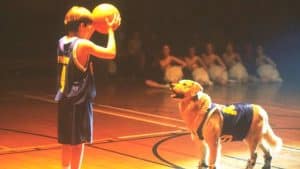 Ce soir en famille : tous les enfants des années 90 connaissent ce film par coeur ! 28 ans après, il est toujours aussi irrésistible