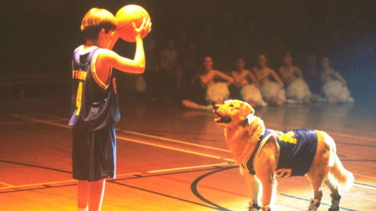 Ce soir en famille : tous les enfants des années 90 connaissent ce film par coeur ! 28 ans après, il est toujours aussi irrésistible