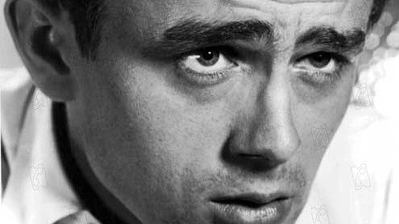 "Il n'a fait que 3 films et il était brillant dans les 3" : Robert De Niro adore ce mythe hollywoodien par excellence