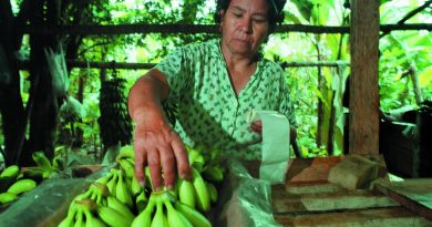 Banana production in Latin America